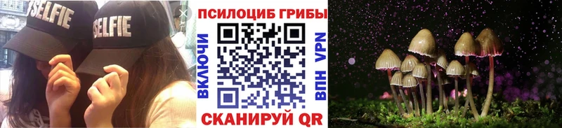 Галлюциногенные грибы Cubensis купить наркотики цена гидра ссылки Калининск